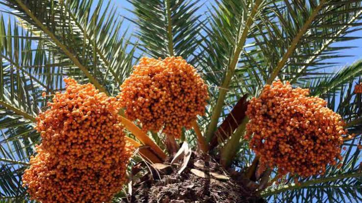 درباره ما